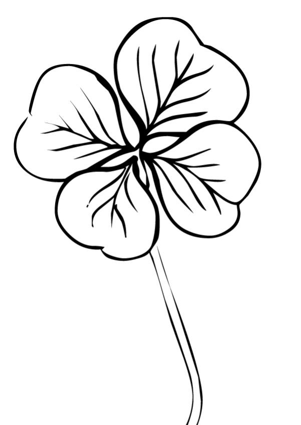 coloriage fleur de lys