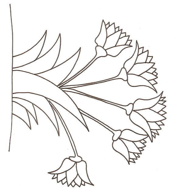 coloriage fleur de lys