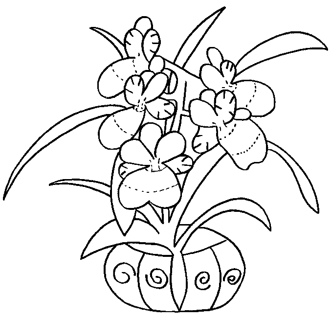 coloriage fleur de lys