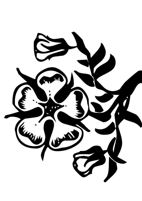 coloriage fleur de lys