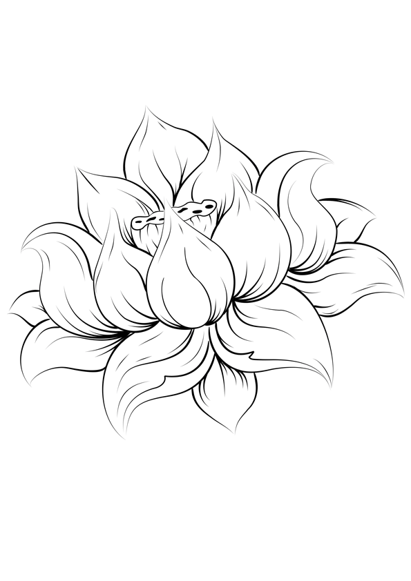 coloriage fleur de lys