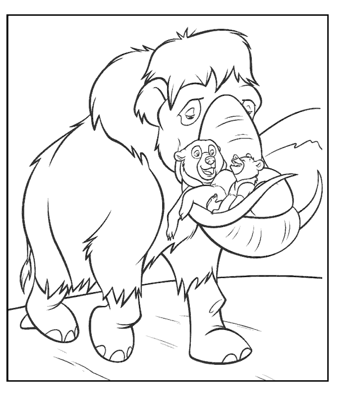 coloriage frere des ours