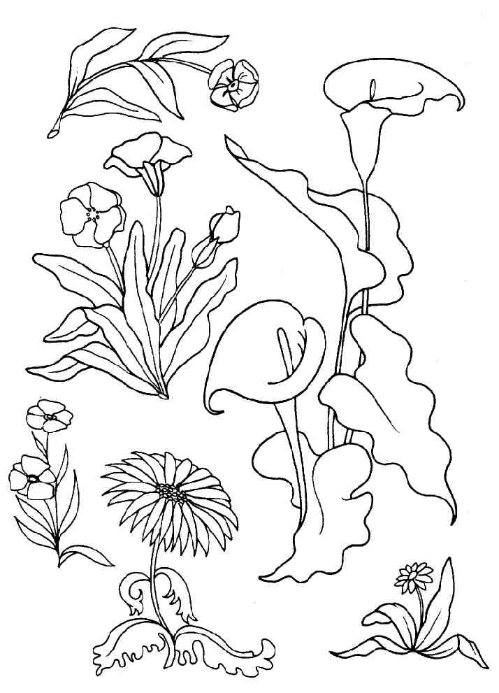 dessins de fleurs exotiques à imprimer