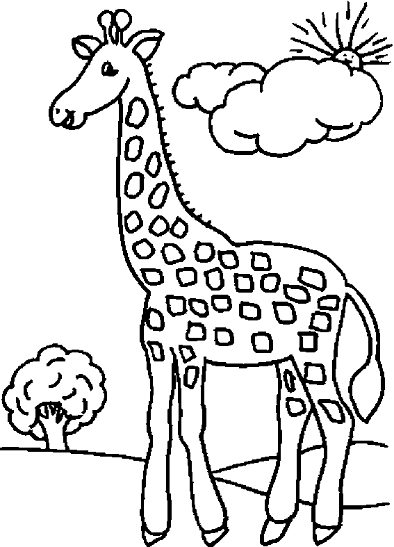 coloriage girafe a imprimer