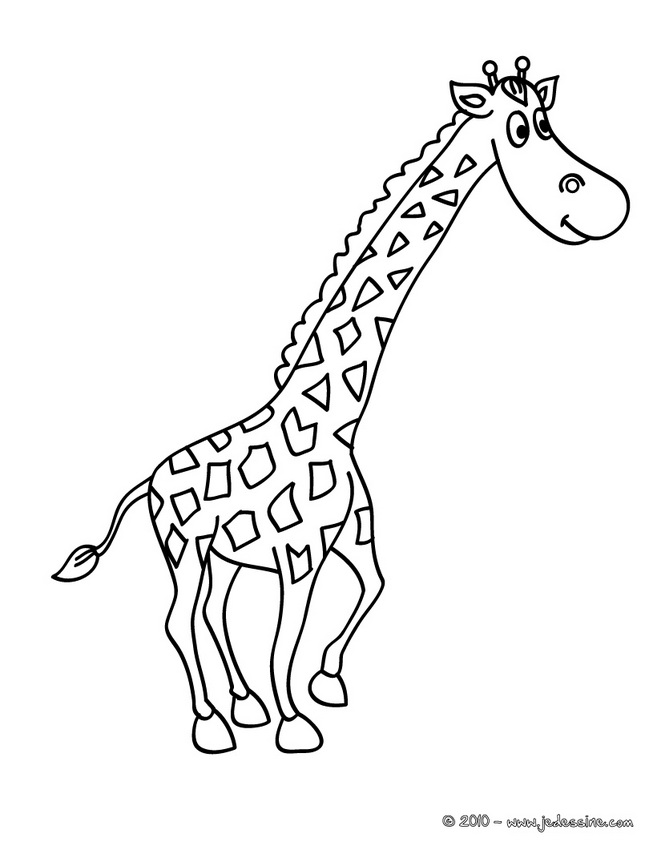 coloriage girafe en ligne