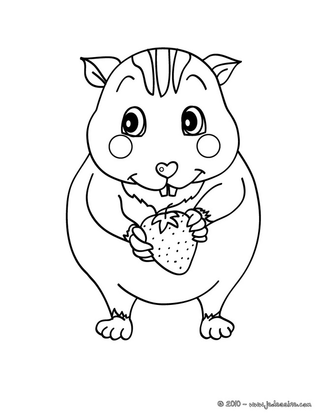 coloriage hamster a imprimer