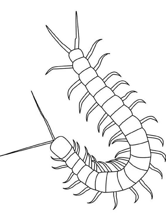 99 dessins de coloriage Insectes Jardin à imprimer