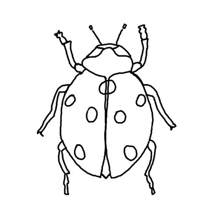 102 dessins de coloriage Insectes à imprimer