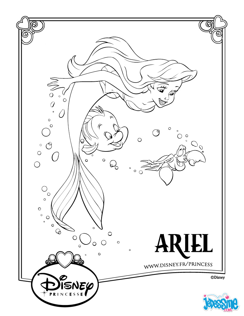 dessin ariel la petite sirene 2