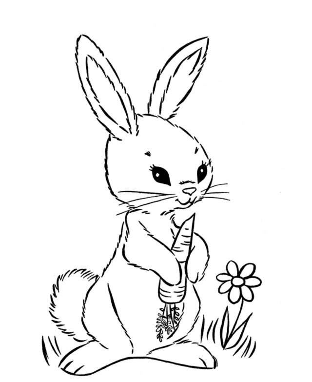 coloriage lapin carotte