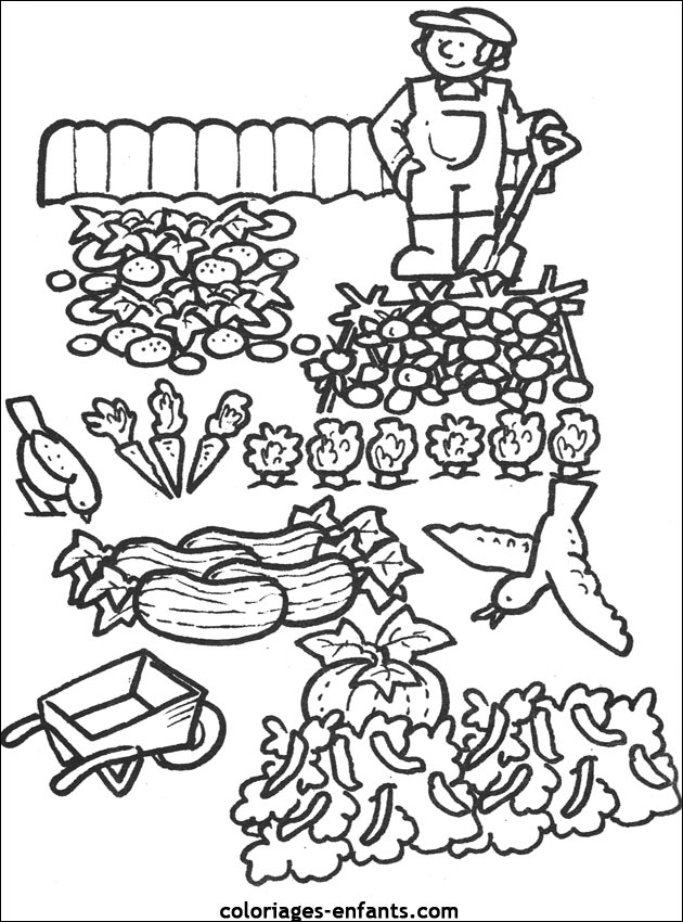 coloriage legumes du jardin 11999