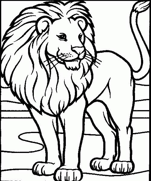 coloriage lion gratuit