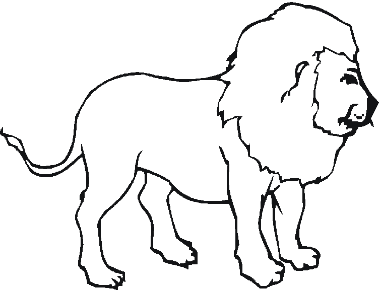 124 Dessins De Coloriage Lion A Imprimer