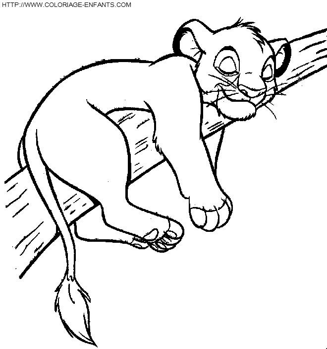 coloriage lionceau