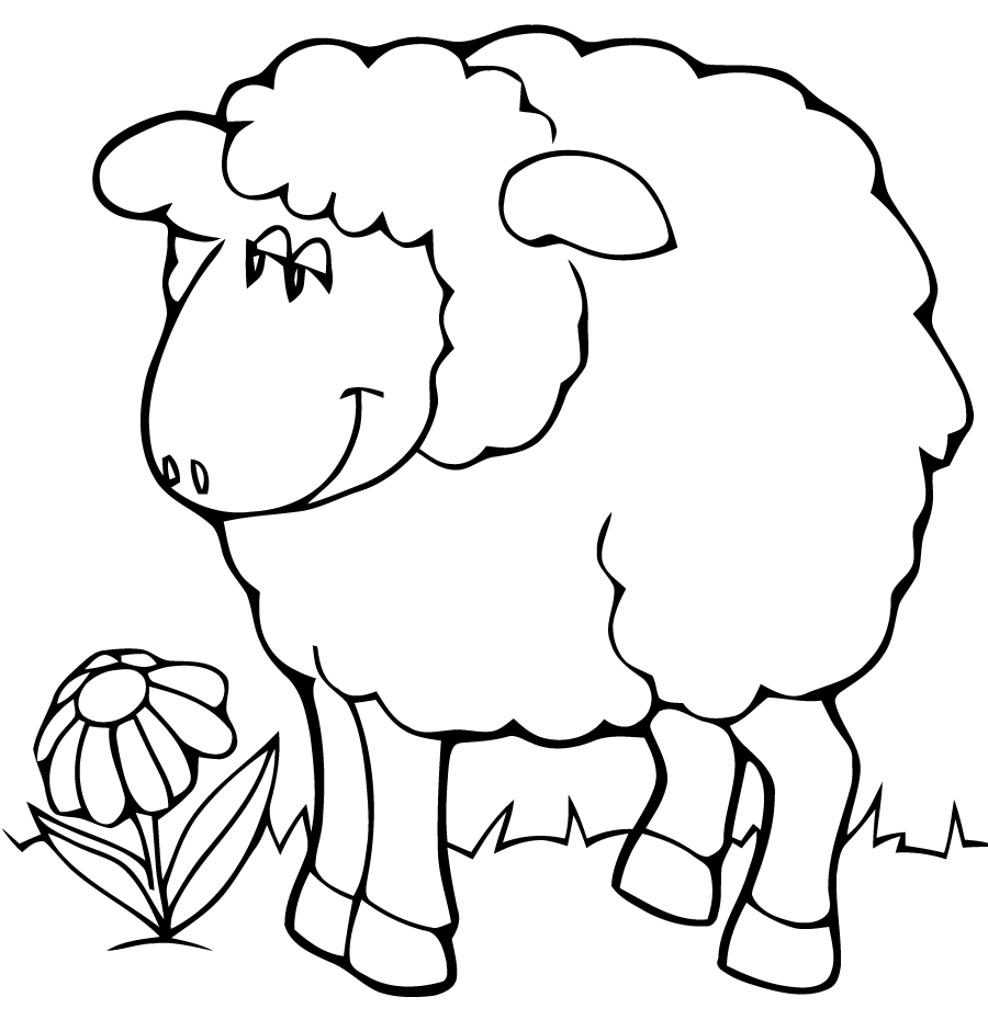 coloriage mouton a imprimer