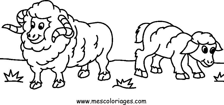 coloriage mouton en ligne