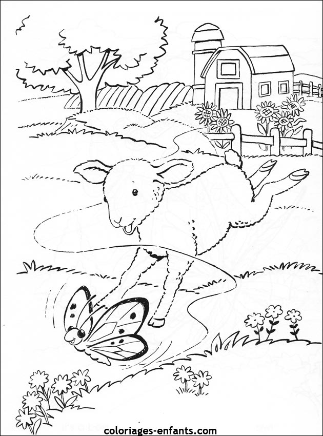 coloriage à dessiner d'un mouton dans une prairie