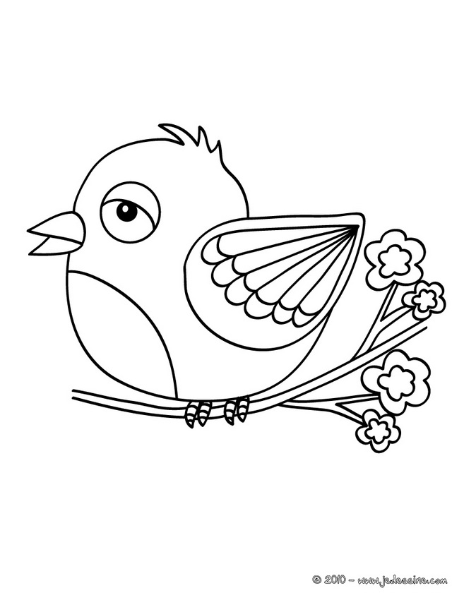 coloriage oiseau en ligne