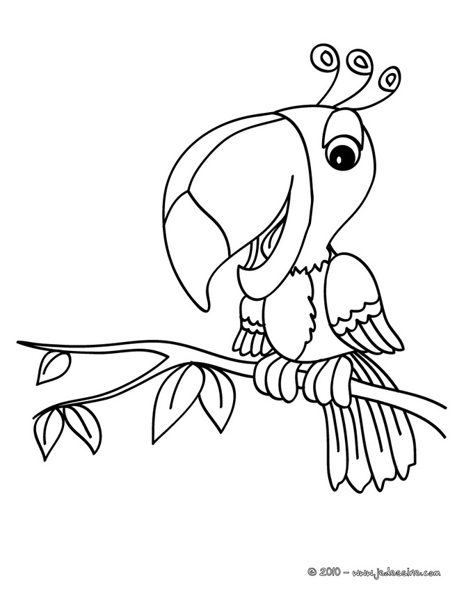 coloriage oiseau en ligne