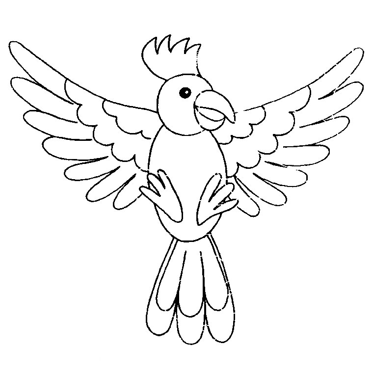 coloriage oiseau lyre 10350