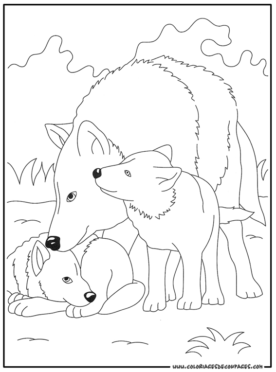 coloriage orque en ligne