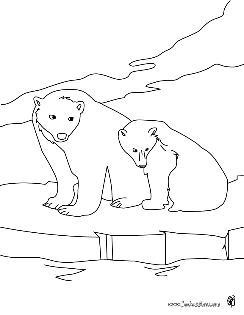 Retour Au Début Coloriage Animaux Sauvages En Ligne Ours | 30000