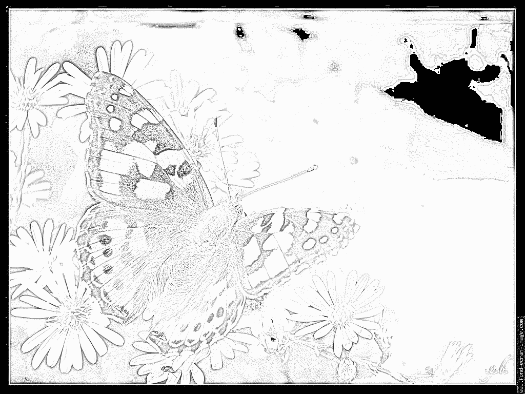 96 dessins de coloriage Papillon Belle Dame à imprimer