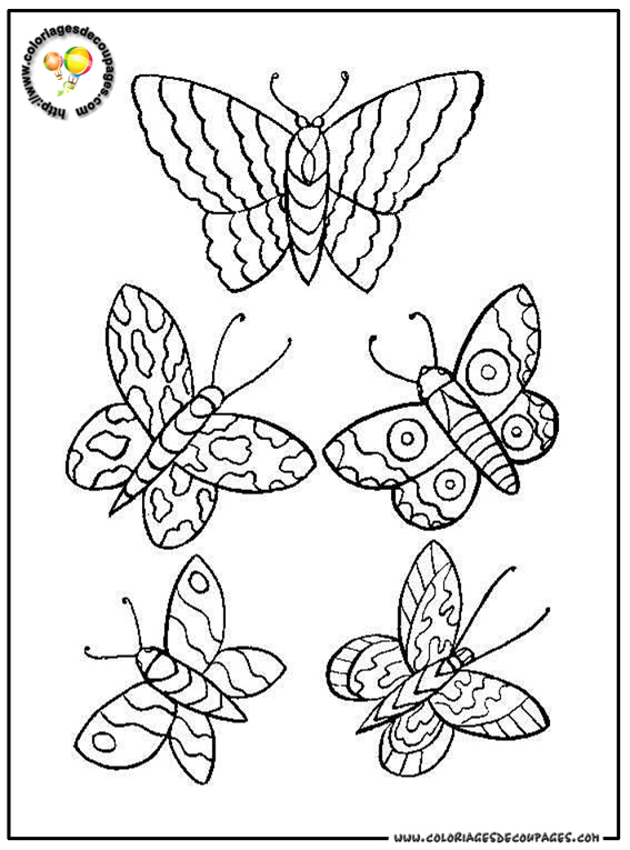 coloriage papillon facile