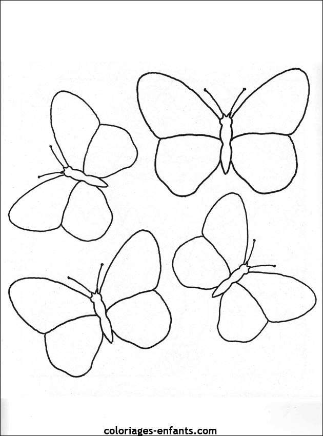 coloriage papillon facile