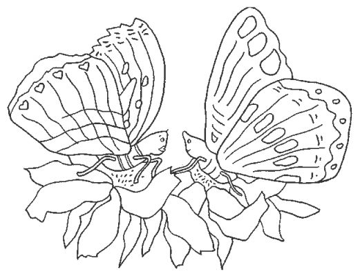 coloriage papillon magique