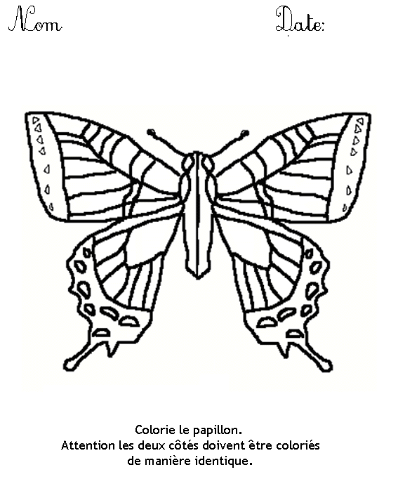 coloriage papillon symetrie 11975