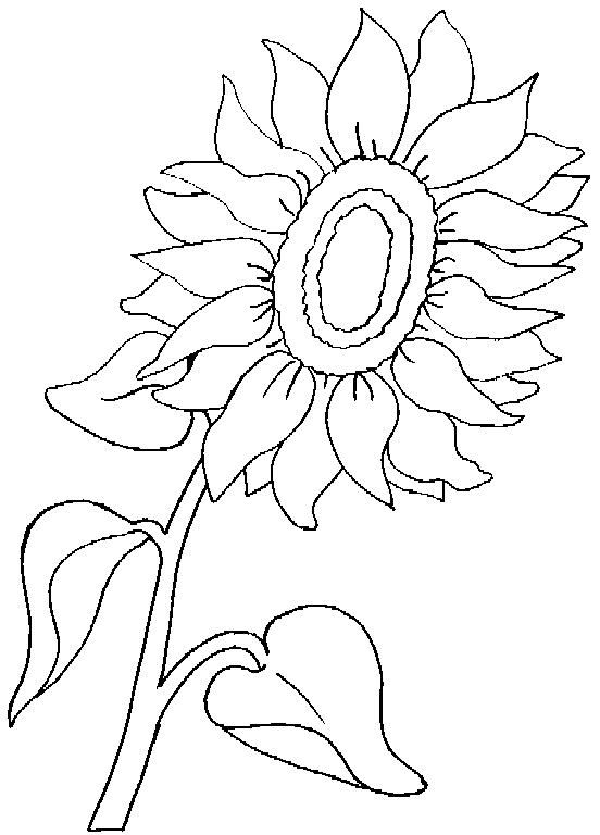 Coloriage Plante Maternelle