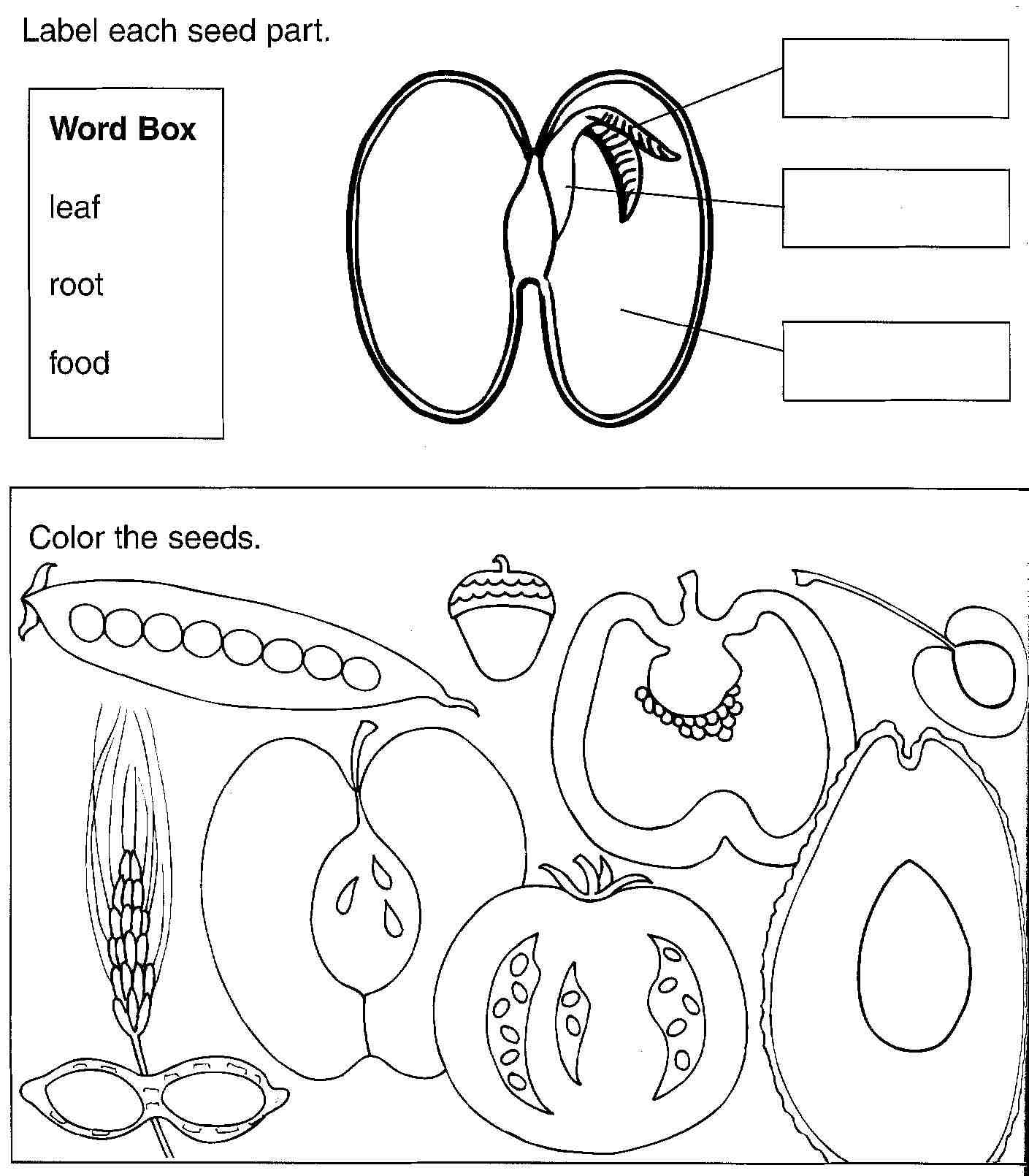 dessin plante en pot