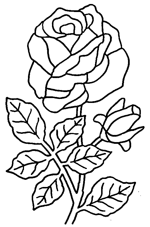 Coloriage à Dessiner Plante En Pot