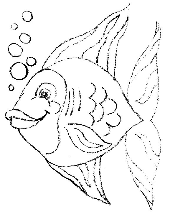 coloriage poisson davril tfou