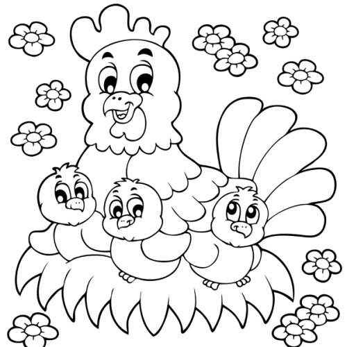 coloriage poule et ses poussins