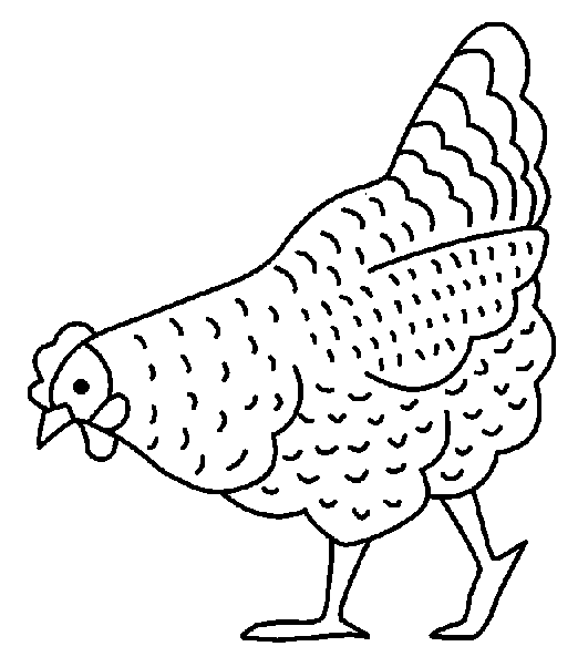 coloriage poule rousse