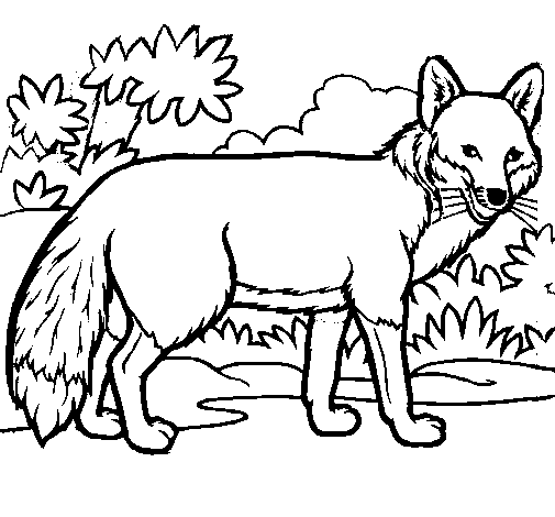 coloriage renard roule galette