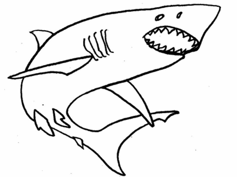 coloriage requin a imprimer gratuit