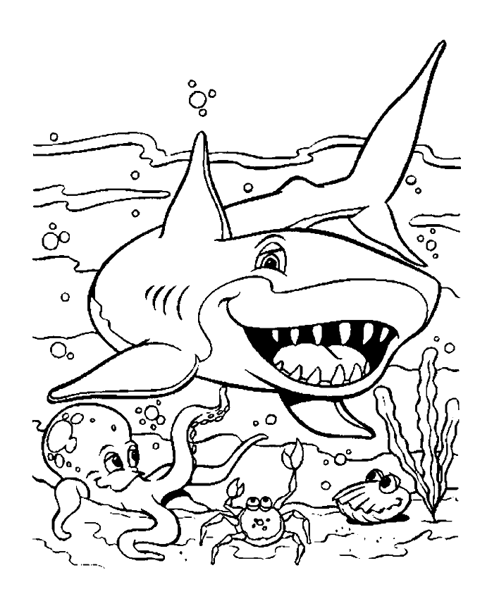 coloriage requin a imprimer