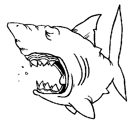 coloriage requin en ligne