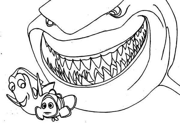 coloriage requin en ligne