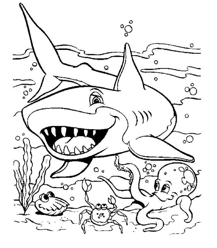 18 dessins de coloriage Requin Marteau à imprimer