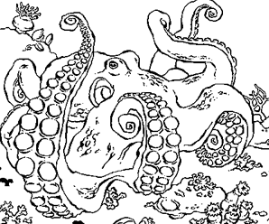 20 dessins de coloriage Requin Tigre à imprimer