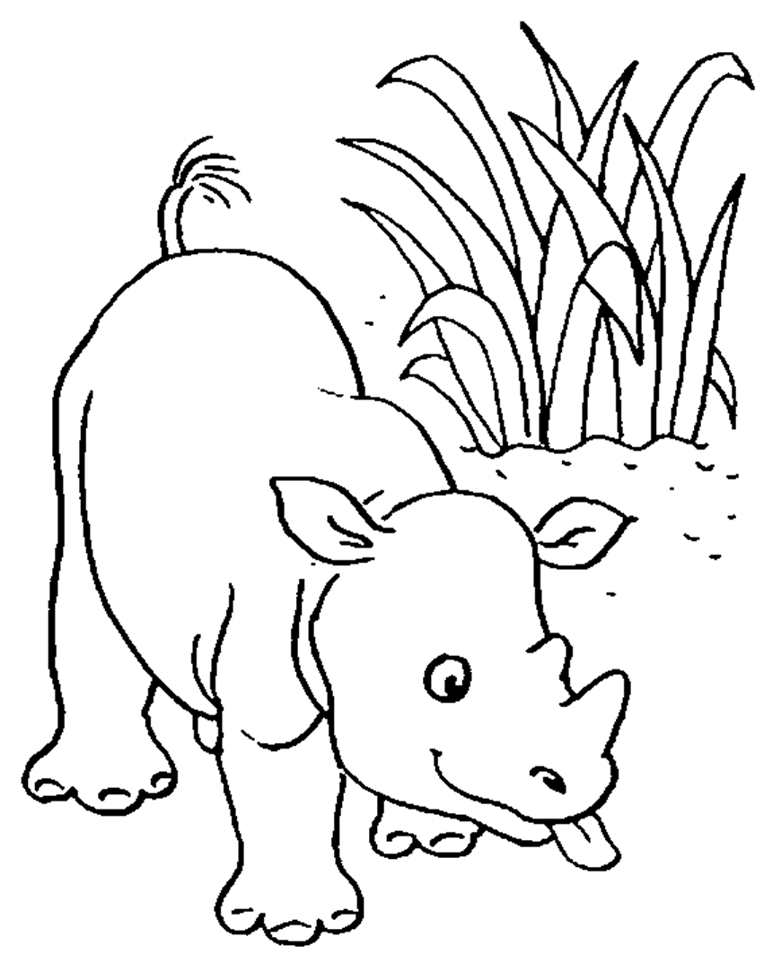 coloriage gratuit imprimer rhinoceros