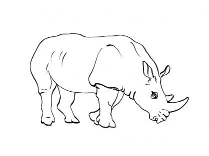 120 dessins de coloriage Rhinocéros à imprimer