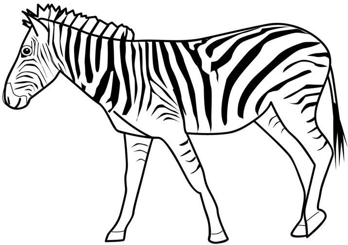 coloriage silhouette zebre