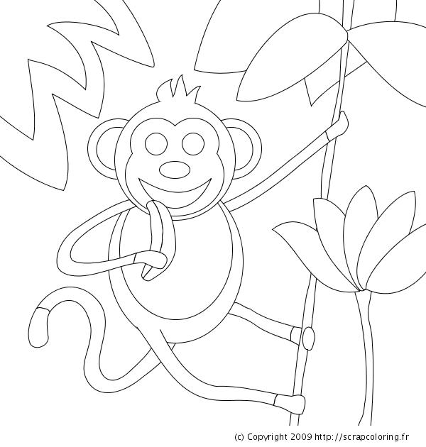 coloriage singe avec banane