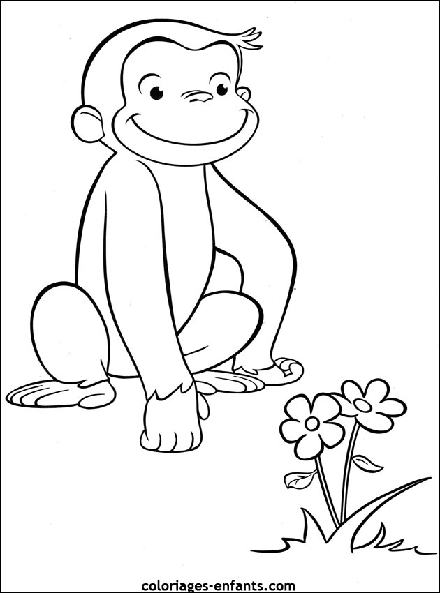 coloriage singe ouistiti