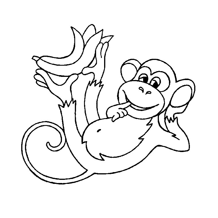 coloriage singe ouistiti